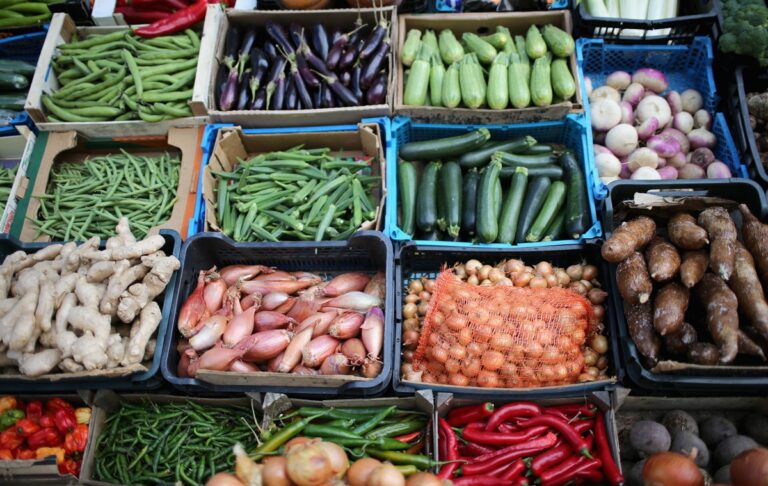 Україна увійшла до трійки лідерів з поставок агропродукції в Євросоюз