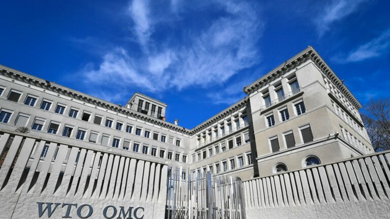 У боротьбу за крісло голови СОТ вступили дві жінки