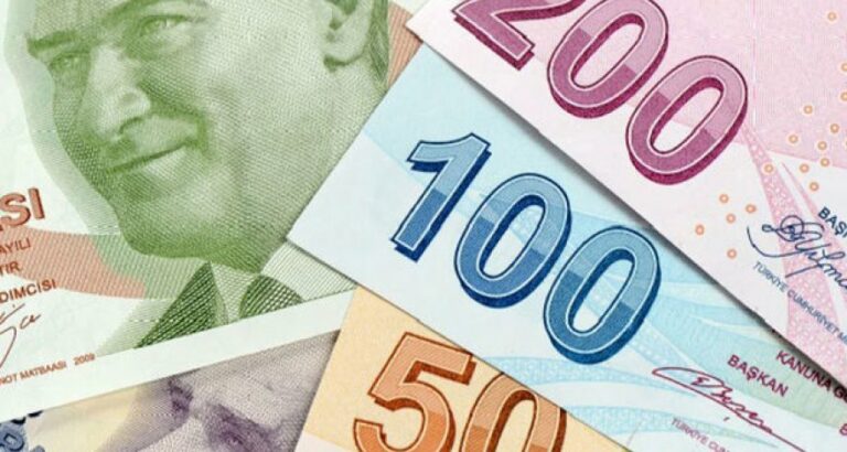 Минус 15% за день: что произошло с турецкой лирой и другими валютами в понедельник