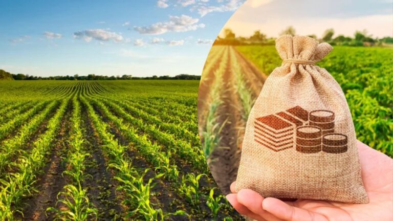 Земельний податок в Україні зріс майже на 16%